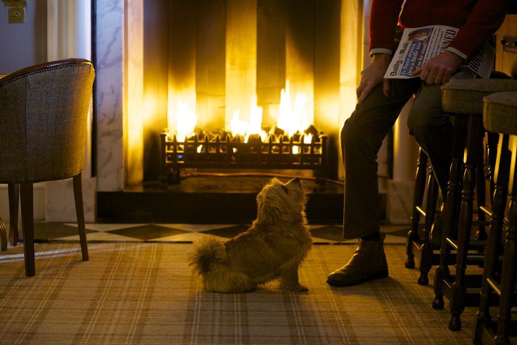 Headlam Hall Hotel エクステリア 写真